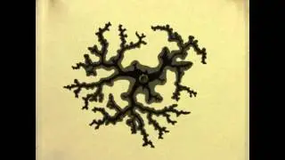 Fluid injection into dense granular media (100% glycerin)