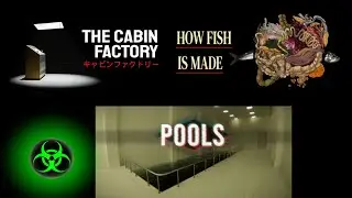 [Miro Mini] - The Cabin Inspector Goes through the Pool to the Fish Factory