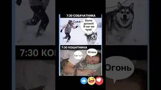 #смех #бабки #доктор #анекдот #мужжена#fun #funnyshorts #funny#unnuvideo#LustigesVideo #втренде
