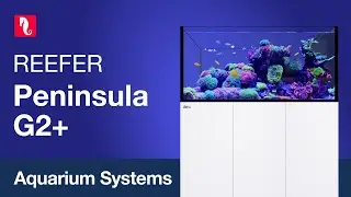 REEFER Peninsula G2+ - The 2nd generation of room-divider systems