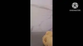 kesra agherum akuran sans gluten