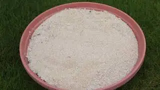 Tillers Turf Talk Ep 18 - Turf Establishment