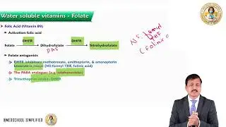 12. Vitamin B9 (Folic Acid) | Functions, Deficiency, Megaloblastic Anemia Biochemistry USMLE Step 1