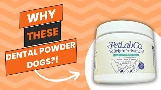 Review of PetLab Co. ProBright Advanced Dental Powder