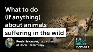 What to do &mdash; if anything &mdash; about wild animal suffering | Persis Eskander (2019)