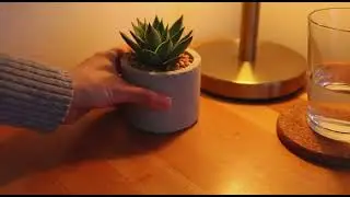 Scheduled Video