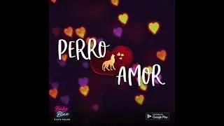 Perro Amor, con la conducci&oacute;n de La Tity