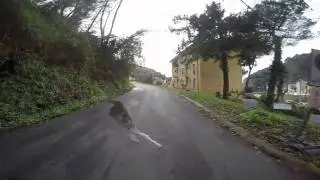 Montignoso Bike