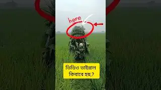 rice plant catching bird 🦩😱😱🥰 #viral #shorts #bug #bird #tiktok #trending #foryou #villagelife