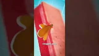 Как работает удаление черных точек 😮