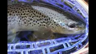 Montana Fly Fishing Winter Feb 2015 *Please view in 1080 HD!!
