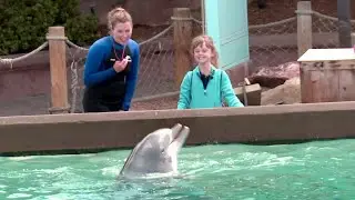 SeaWorld Cares: Making Wishes Come True | SeaWorld San Diego