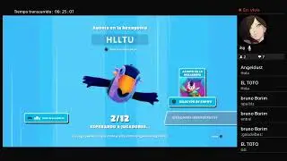 Partidas privadas fall guys