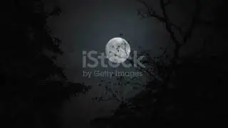 Horror Film Full Moon At Night Time Lapse  Video
