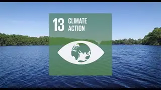 Together We Are FSC - SDG13 CLIMATE ACTION