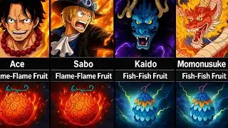 One Piece Characters Who Ate Same Devil Fruit