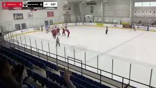 OWHA U22 Championship Weekend   Ottawa Jr  67s Toronto Leaside Wildcats @ 1845   Scotiabank Pond 3