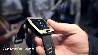 Zensorium Being | Hands-on