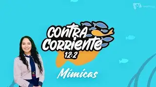 CONTRACORRIENTE | M&iacute;micas | Emelina Ruiz Saucedo