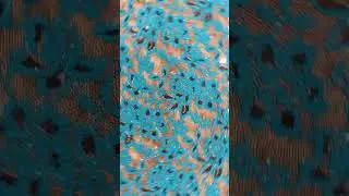 #fashion #fabric #follow #bollywood #bgmi #bts #trending #tiktok #trend #trendingshorts #like