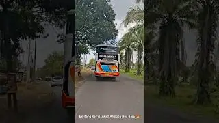 BELITANG-BLITAR BUS BARU⁉️ SKY LANDER R25 PERTAMA DI OKUT‼️ #rosaliaindah #belitangokutimur #shorts