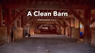 A Clean Trough