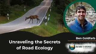 #77: Unraveling the Secrets of Road Ecology with Ben Goldfarb