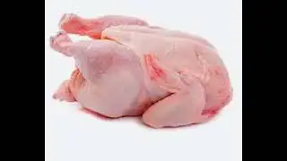 Scout says Chicken
