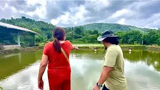 Next Generation of Aquaculture Technologies: Red Tilapia, Crayfish Lobster SOON!