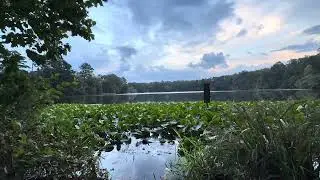 Historic Yates Mill: Nature Meditation at Sunset