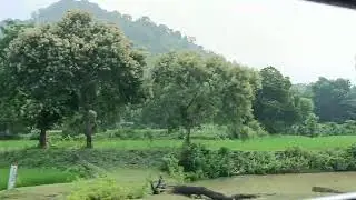 Nature beauty😍✨|India|Forest|Mountain|climate|Peacelover|
