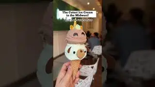 The Cutest Ice Cream in the Midwest! Eli&rsquo;s Ark Gelato Shop in Chicago, IL #midwest #chicago