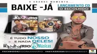 IGOR KANN&Aacute;RIO - CD O ESCOLHIDO VER&Atilde;O 2015
