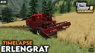 Soybean harvesting, grass mowing, tedding & raking - FS19 Timelapse (Erlengrat) | #21