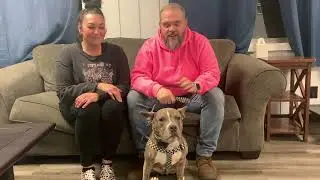 Buck's Dog Training of South Jersey Testimonial from Spicoli owners.