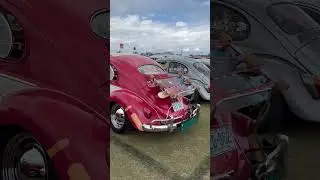 Bug bloom #6 😮&zwj;💨