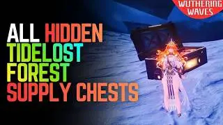 ALL Hidden Chests in Tidelost Forest &ndash; Wuthering Waves