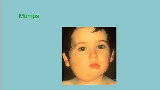 Unit 1: Characteristics of life, Cell Theory, Viruses, etc video 2 of 2