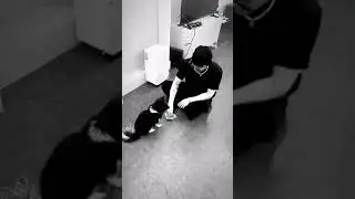Jackson playing with his dog left hand right hand kiss eat