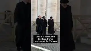 Best Cardinal Duo in the World - Cardinal Burke and Cardinal Sarah