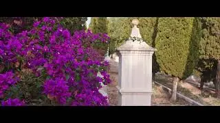 LA LLOSA DE RANES