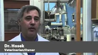 Merrick Animal Hospital