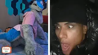 Furry Rizz Up Strangers On Ome.TV...