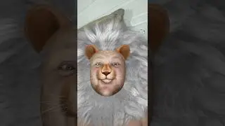 Лев и львёнок #юмор #камеди  #comedy