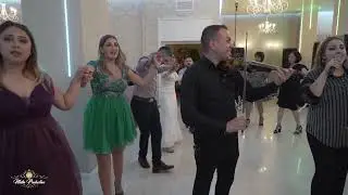 Taraf Fratii Veronel hore si manele   live