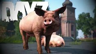 I Turned A Pig Into A Car Using ADVANCED Hustling Tactics! - DayZ Livonia