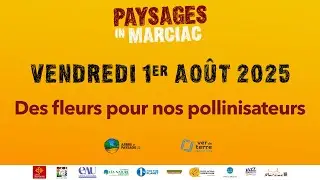 DES FLEURS POUR NOS POLLINISATEURS - Paysages In Marciac 2025