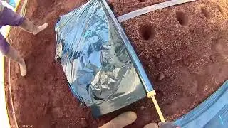 Rubber mulch for growing tomatoes#farming #tomato @