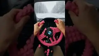 Rose LEGO BMW Steering Wheel - Will It Snap or Steer? (POV) #asmr