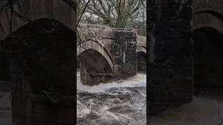 STORM CHANDRA: River Dart flows past New Bridge (Part 1)